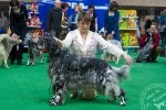 ВЫСТАВКИ - Мемориал Сабанеева 2010